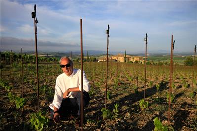 vigneto Vergena - Malbec