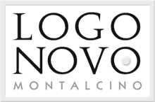 Logonovo | logo