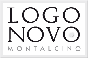 Logonovo - logo